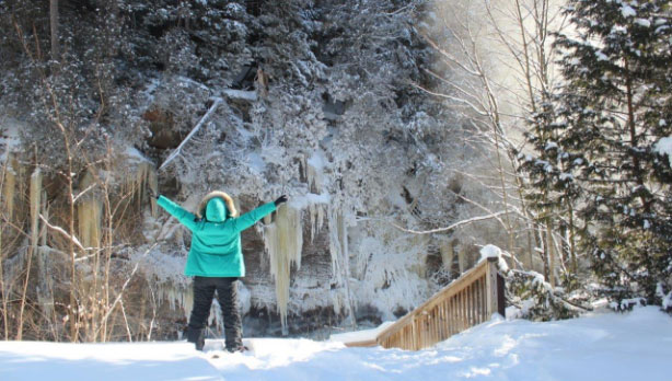 person in a winter forest with their hands up