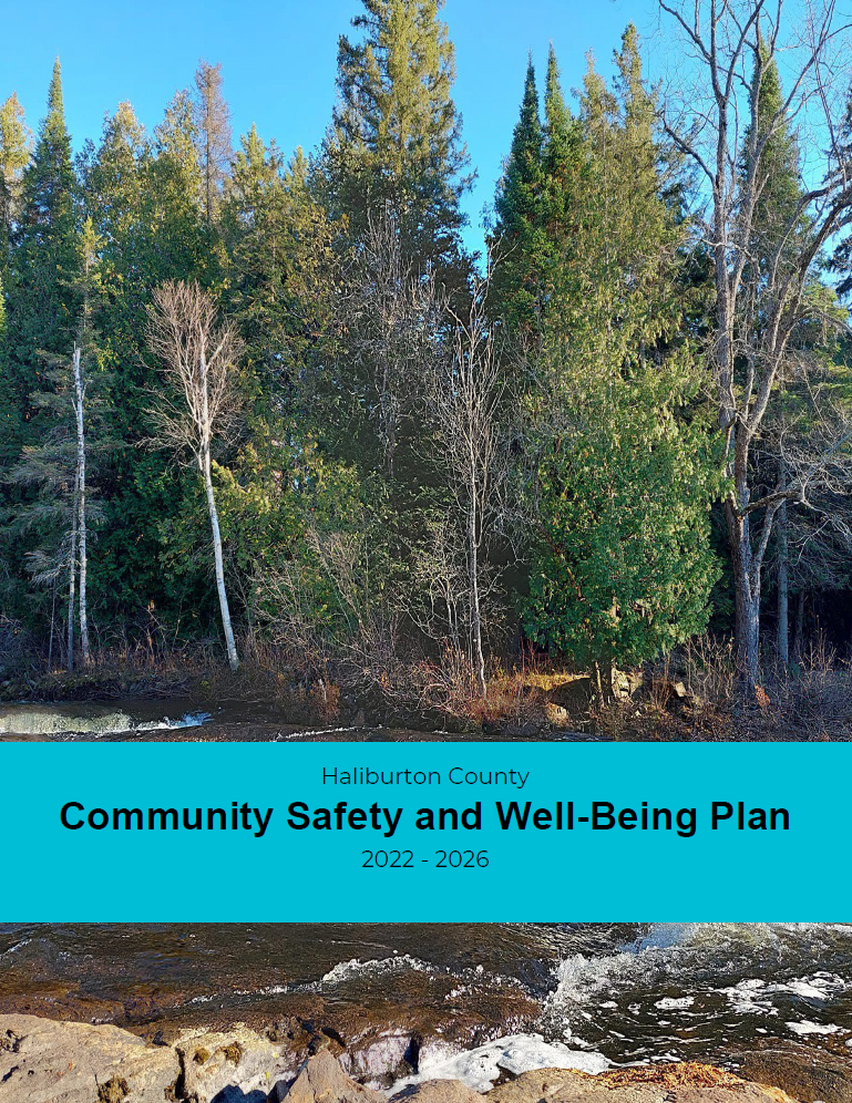 Cover image of Haliburton County Community Safety and Well-Being Plan. A background of trees against blue sky, and in the foreground the rushing water of Furnace Falls.