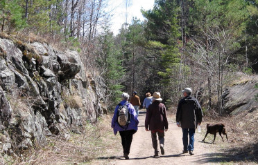 People walking on a forest trail