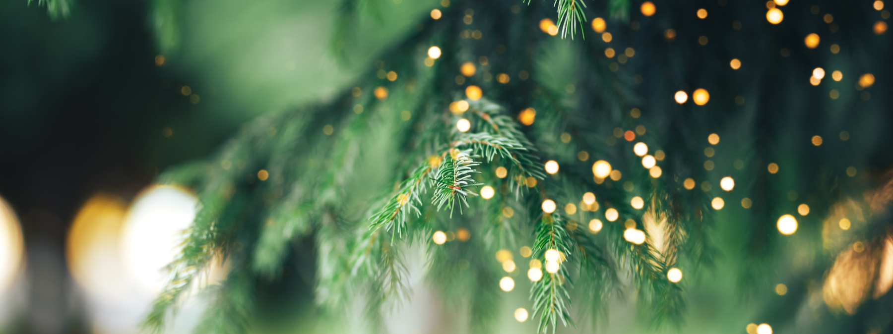 picture of a wall with christmas decorations
