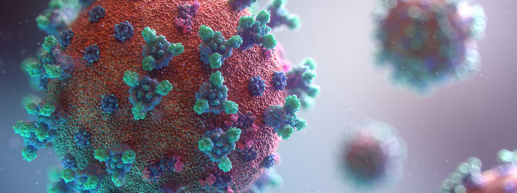 microscoping rendering of the coronavirus cells