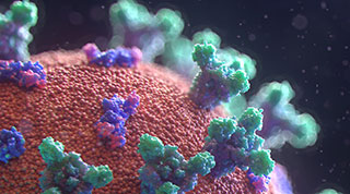 Close up rendering of the coronavirus