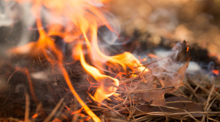 grass on fire