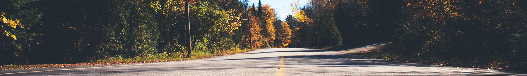 close up low view of county road in autumn